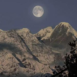 啊富汗家庭乱伦图片成视频
